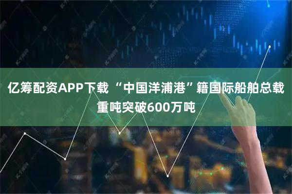 亿筹配资APP下载 “中国洋浦港”籍国际船舶总载重吨突破600万吨