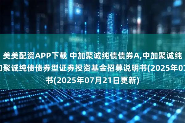 美美配资APP下载 中加聚诚纯债债券A,中加聚诚纯债债券C: 中加聚诚纯债债券型证券投资基金招募说明书(2025年07月21日更新)