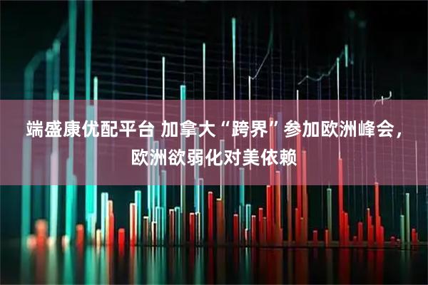 端盛康优配平台 加拿大“跨界”参加欧洲峰会，欧洲欲弱化对美依赖